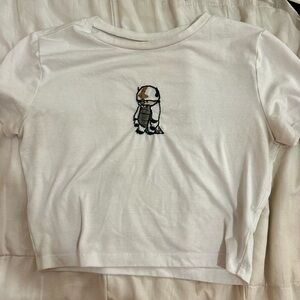 Appa Hand Embroidered Crop Top